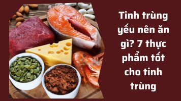 Tinh trùng yếu nên ăn gì