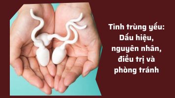 Tinh trùng yếu có chữa được không