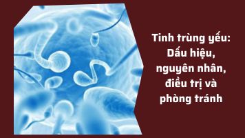 Tinh trùng yếu