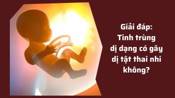 Tinh trùng dị dạng có gây dị tật thai nhi không