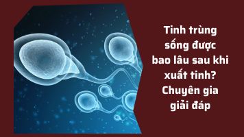 Tinh trùng sống được bao lâu